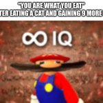 Respawns* | "YOU ARE WHAT YOU EAT"
ME AFTER EATING A CAT AND GAINING 9 MORE LIVES: | image tagged in infinite iq | made w/ Imgflip meme maker
