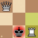 Checkmated King template