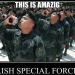 Irish special forces are special | THIS IS AMAZING | image tagged in lol,ireland | made w/ Imgflip meme maker