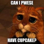 puss in boots eyes | CAN I PWESE; HAVE CUPCAKE? | image tagged in puss in boots eyes | made w/ Imgflip meme maker