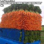 Carrots | HER: "CARROTS ARE SCIENTIFICALLY PROVEN TO BE HEALTHY, GOOD FOR CHOLESTEROL, EYESIGHT,..."
ME: "WHATEVER"; HER: "THERE'S AN UNSUBSTANTIATED RUMOR THEY LENGTHEN YOUR.."
ME: | image tagged in carrots,rumor | made w/ Imgflip meme maker
