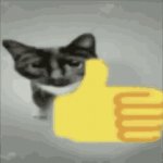 cat thumbs up meme