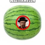 Waltermelon | WALTERMELON | image tagged in watermelon,walter white,breaking bad,fruit,memes,funny | made w/ Imgflip meme maker