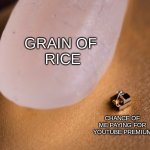 Grain Of Rice | GRAIN OF 
RICE; CHANCE OF ME PAYING FOR YOUTUBE PREMIUM | image tagged in grain of rice | made w/ Imgflip meme maker