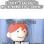 blank why must you hurt me | GERMAN EXCHANGE STUDENT: CAN YOU TELL ME THE NUMBER OF FLOURINE? ME:NINE | image tagged in blank why must you hurt me | made w/ Imgflip meme maker