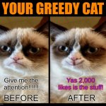 Greedy Cat | YOUR GREEDY CAT; Give me the attention!!!!!! Yas 2,000 likes is the stuff! | image tagged in grumpy cat - before and after | made w/ Imgflip meme maker