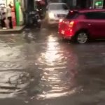 Flooded GIF Template