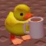 duck with coffee ug template