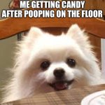 Every one year old | ME GETTING CANDY AFTER POOPING ON THE FLOOR | image tagged in happy gabe the doge | made w/ Imgflip meme maker