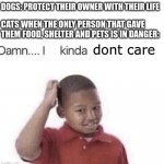 Damn I kinda don’t meme | DOGS: PROTECT THEIR OWNER WITH THEIR LIFE; CATS WHEN THE ONLY PERSON THAT GAVE THEM FOOD, SHELTER AND PETS IS IN DANGER:; dont care | image tagged in damn i kinda don t meme,dogs,cats,funny,memes,dankmemes | made w/ Imgflip meme maker