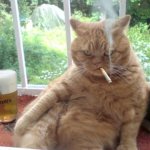 Ginger cat smoking cigarette