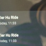Tier