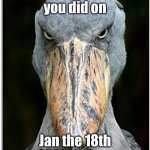 he knows | I know what you did on; Jan the 18th 2023 at 2am | image tagged in bird knows | made w/ Imgflip meme maker