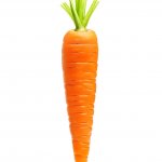 Carrot