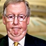 McConnell
