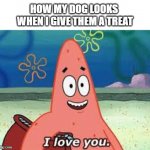 dog patty | HOW MY DOG LOOKS 
WHEN I GIVE THEM A TREAT | image tagged in patrick i love you,patrick,patrick star,dog,funny | made w/ Imgflip meme maker