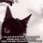 honestly quite incredible | iceu and all of his fans when somebody jokingly posts a fruit / vegetable / berry and gets 143 upvotes off of it (anger) | image tagged in gifs,fun stream moment,lettuce,iceu,pie charts | made w/ Imgflip video-to-gif maker