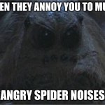 Spider stare | WHEN THEY ANNOY YOU TO MUCH; *ANGRY SPIDER NOISES* | image tagged in spider stare | made w/ Imgflip meme maker
