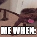 me when; | ME WHEN: | image tagged in gifs,me when,memes,confused | made w/ Imgflip video-to-gif maker