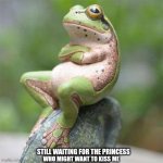 frog waiting | STILL WAITING FOR THE PRINCESS; WHO MIGHT WANT TO KISS ME | image tagged in frog waiting | made w/ Imgflip meme maker