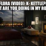 In Flora’s Room… | FLORA (VIDEO): K- KETTLE?! WHAT ARE YOU DOING IN MY ROOM? | image tagged in night bedroom | made w/ Imgflip meme maker