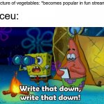 (insert hurtful title for Iceu here) | Picture of vegetables: *becomes popular in fun stream* Iceu: | image tagged in write that down | made w/ Imgflip meme maker
