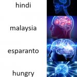 why did... | hindi; malaysia; esparanto; hungry | image tagged in expanding brain hd | made w/ Imgflip meme maker