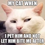 Yes!! | MY CAT WHEN; I PET HIM AND NOT LET HIM BITE ME AFTER | image tagged in i'm watching you | made w/ Imgflip meme maker