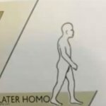 Later Homo