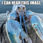 And you can too. | I CAN HEAR THIS IMAGE. | image tagged in the blue lobster,funny,memes,low effort | made w/ Imgflip meme maker