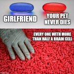 Blue or red pill | GIRLFRIEND; YOUR PET NEVER DIES; EVERY ONE WITH MORE THAN HALF A BRAIN CELL | image tagged in blue or red pill | made w/ Imgflip meme maker