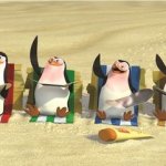Madagascar penguins