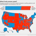 2018 midterms if only women voted meme