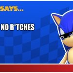 Sonic Says (S&ASR) | YOU GET NO B*TCHES | image tagged in sonic says s asr | made w/ Imgflip meme maker