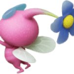 Winged Pikmin