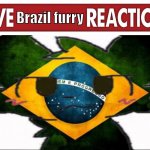 live brazil furry reaction
