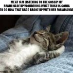 sometimes your brain makes up a tv show | ME AT 1AM LISTENING TO THE GOSSIP MY BRAIN MADE UP WONDERING WHAT TRISH IS GOING TO DO NOW THAT BRAD BROKE UP WITH HER FOR AMANDA | image tagged in the chillin kitten,tv show,brain,1 am | made w/ Imgflip meme maker