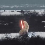 Polar bear lightsaber fight GIF Template