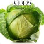 Just some cabbage | CABBAGE | image tagged in cabbage | made w/ Imgflip meme maker