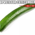 Upvote this to get to front page | UPVOTE FOR CUTECUMBER | image tagged in cucumber | made w/ Imgflip meme maker
