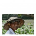 Vietnamese Rice Farmer