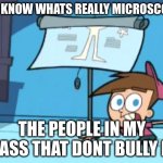 True Facts | YOU KNOW WHATS REALLY MICROSCOPIC; THE PEOPLE IN MY CLASS THAT DONT BULLY ME | image tagged in you know what's really microscopic how much i care | made w/ Imgflip meme maker