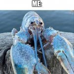 *blue lobster sound* | “YOU CAN’T HEAR IMAGES”
ME: | image tagged in the blue lobster | made w/ Imgflip meme maker