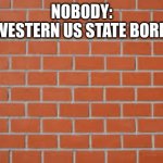 brick wall | NOBODY:
THE WESTERN US STATE BORDERS: | image tagged in brick wall | made w/ Imgflip meme maker