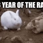 Year of the Rabbit | 2023 YEAR OF THE RABBIT; THE RABBIT | image tagged in gifs,rabbit | made w/ Imgflip video-to-gif maker