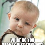 Confused Baby | WHAT DO YOU MEAN IS JUST TUESDAY? | image tagged in confused baby | made w/ Imgflip meme maker