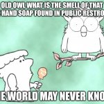 It's the best smell in the world I have been obsessed with finding it for 7 years | OLD OWL WHAT IS THE SMELL OF THAT PINK HAND SOAP FOUND IN PUBLIC RESTROOMS; THE WORLD MAY NEVER KNOW | image tagged in the world may never know,smell,funny,relatable,memes | made w/ Imgflip meme maker