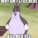 Big Chungus | WHY AM I STILL HERE; KILL MEH PLS | image tagged in big chungus,dead memes,please kill me | made w/ Imgflip meme maker