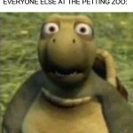 Turtle from over the hedge | ME: *EATS CHICKEN MCNUGGETS*; EVERYONE ELSE AT THE PETTING ZOO: | image tagged in turtle from over the hedge | made w/ Imgflip meme maker