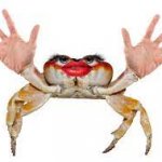 Crab with hands template